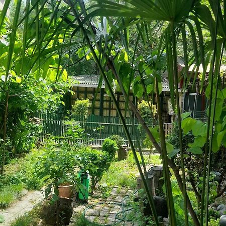 Gardens In Vake, Tbilisi Otel Dış mekan fotoğraf