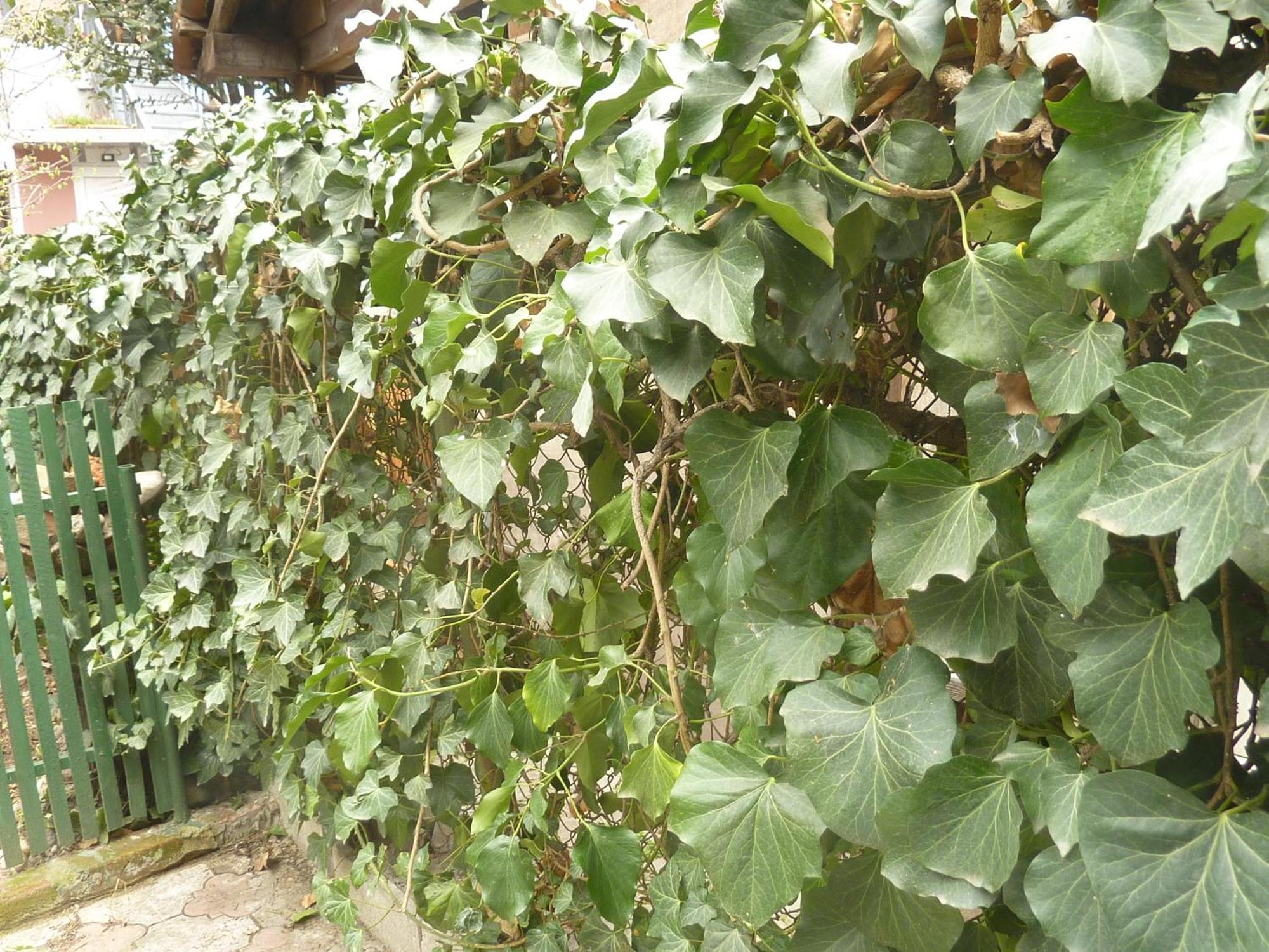Gardens In Vake, Tbilisi Otel Dış mekan fotoğraf